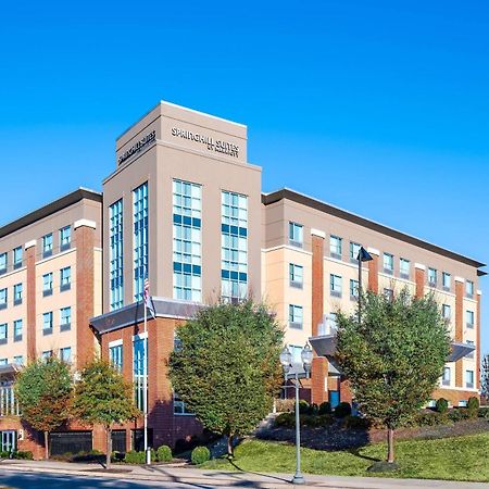 Springhill Suites By Marriott Roanoke Dış mekan fotoğraf