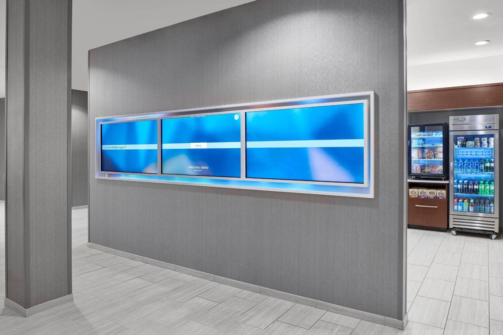 Springhill Suites By Marriott Roanoke Dış mekan fotoğraf