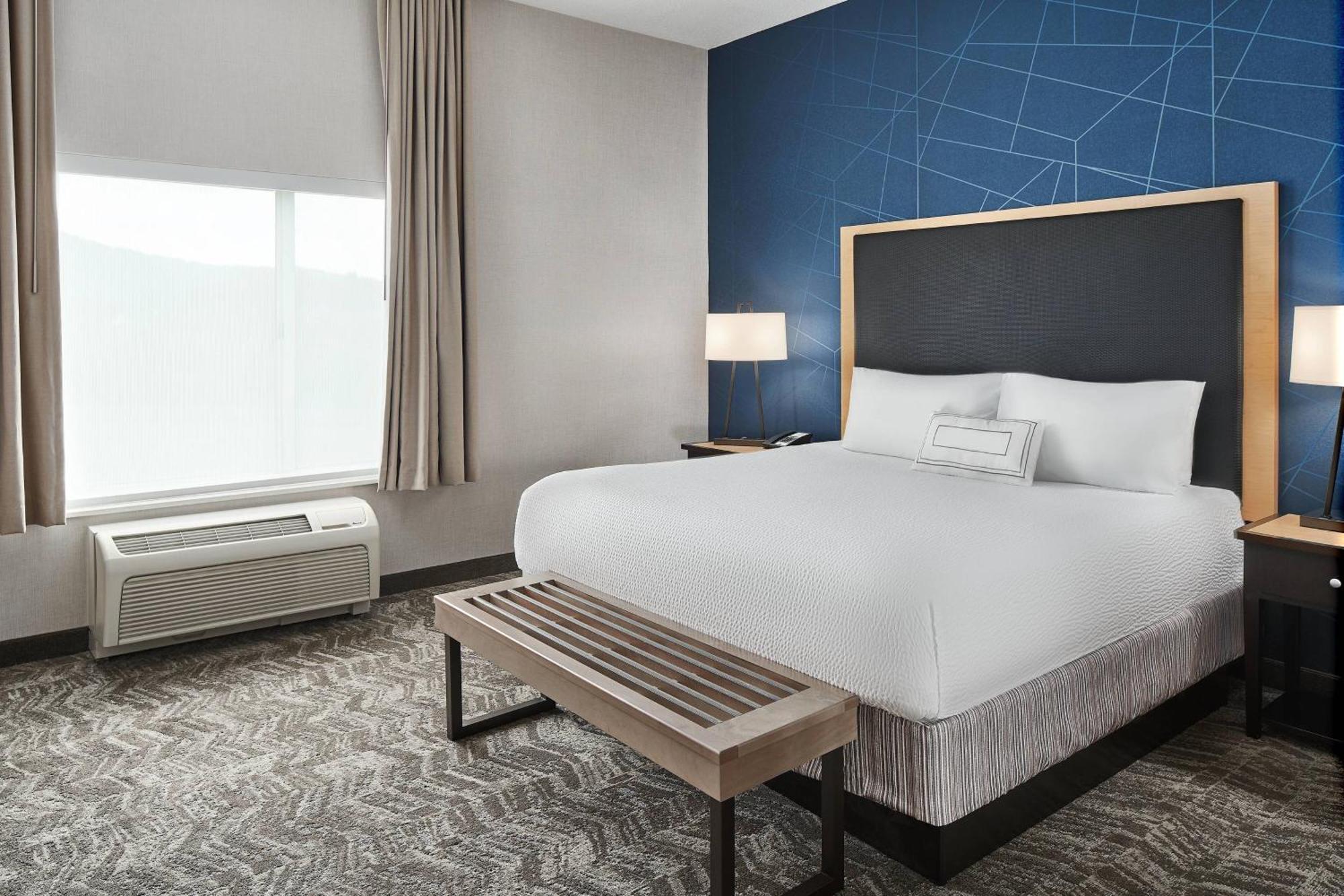Springhill Suites By Marriott Roanoke Dış mekan fotoğraf
