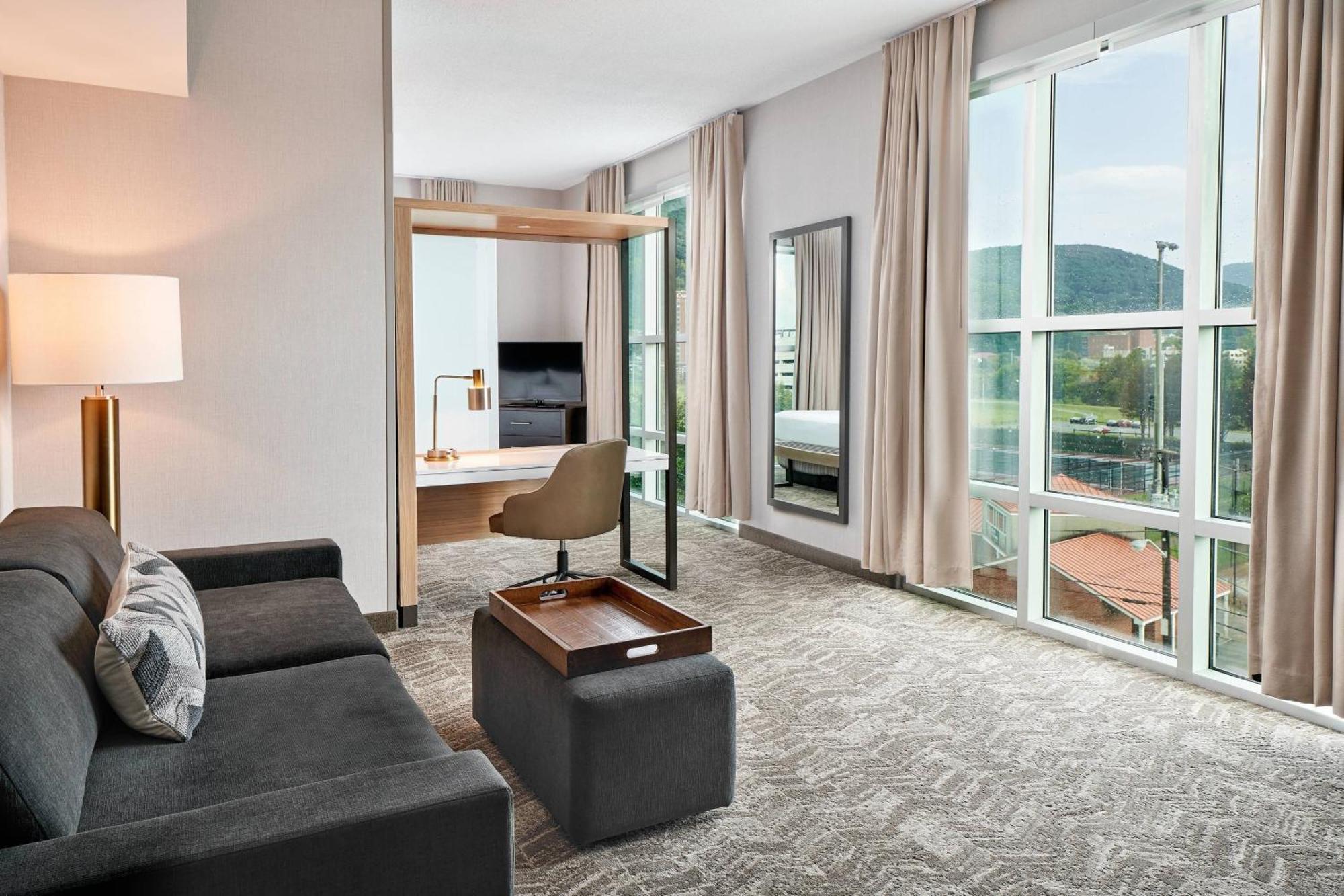 Springhill Suites By Marriott Roanoke Dış mekan fotoğraf
