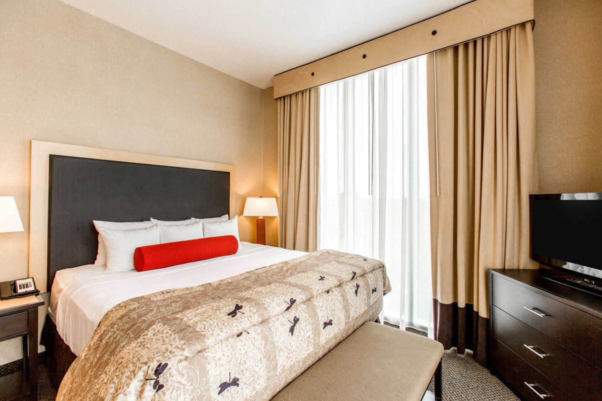 Springhill Suites By Marriott Roanoke Oda fotoğraf