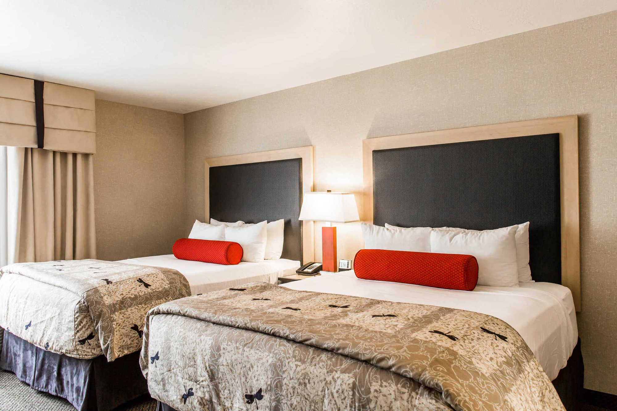 Springhill Suites By Marriott Roanoke Oda fotoğraf
