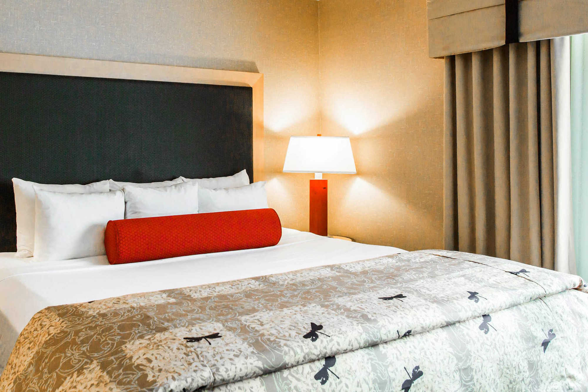 Springhill Suites By Marriott Roanoke Oda fotoğraf