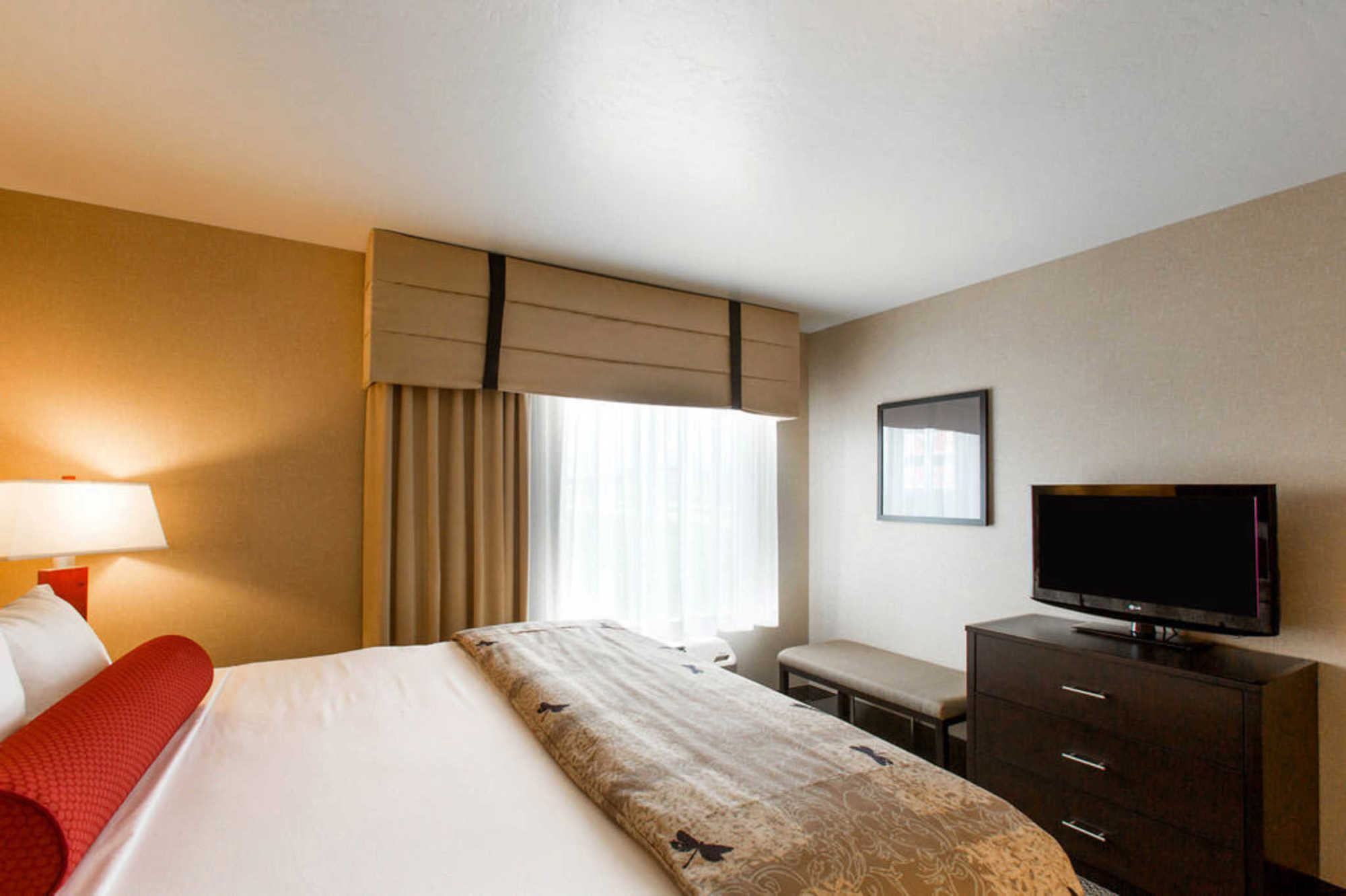 Springhill Suites By Marriott Roanoke Oda fotoğraf