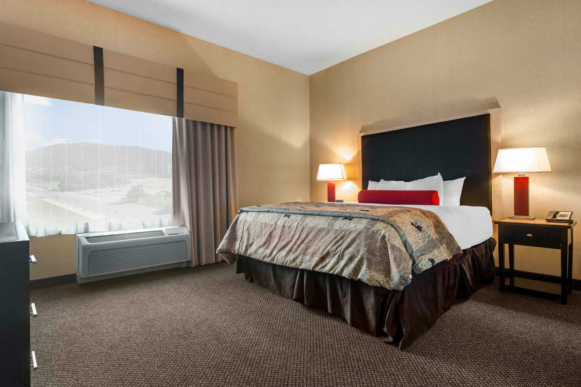 Springhill Suites By Marriott Roanoke Oda fotoğraf