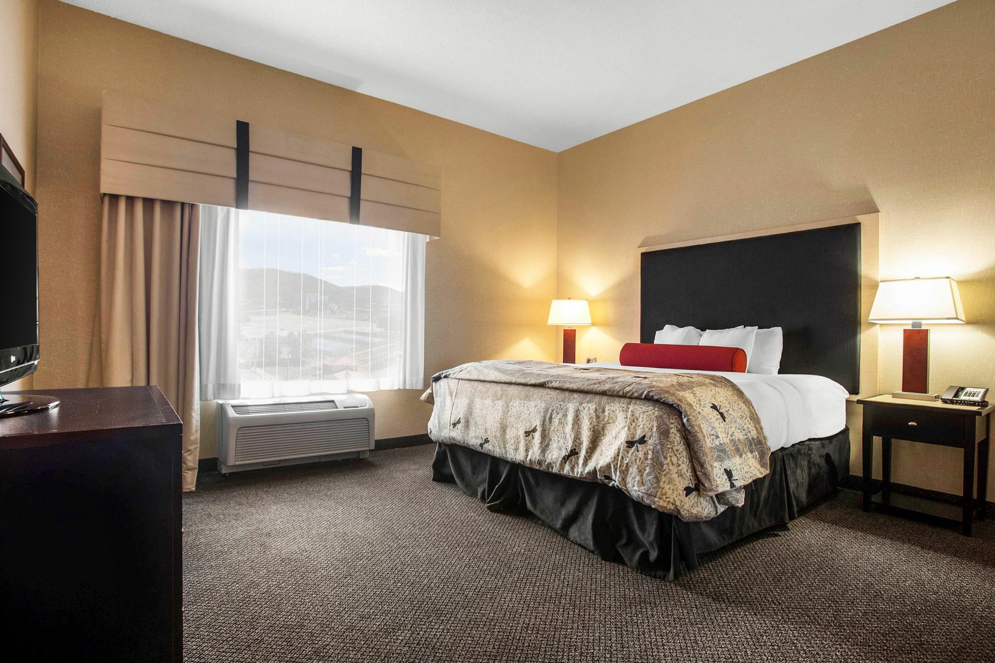 Springhill Suites By Marriott Roanoke Dış mekan fotoğraf