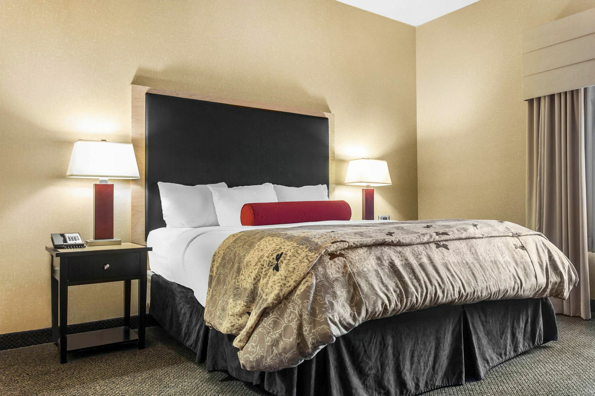 Springhill Suites By Marriott Roanoke Dış mekan fotoğraf