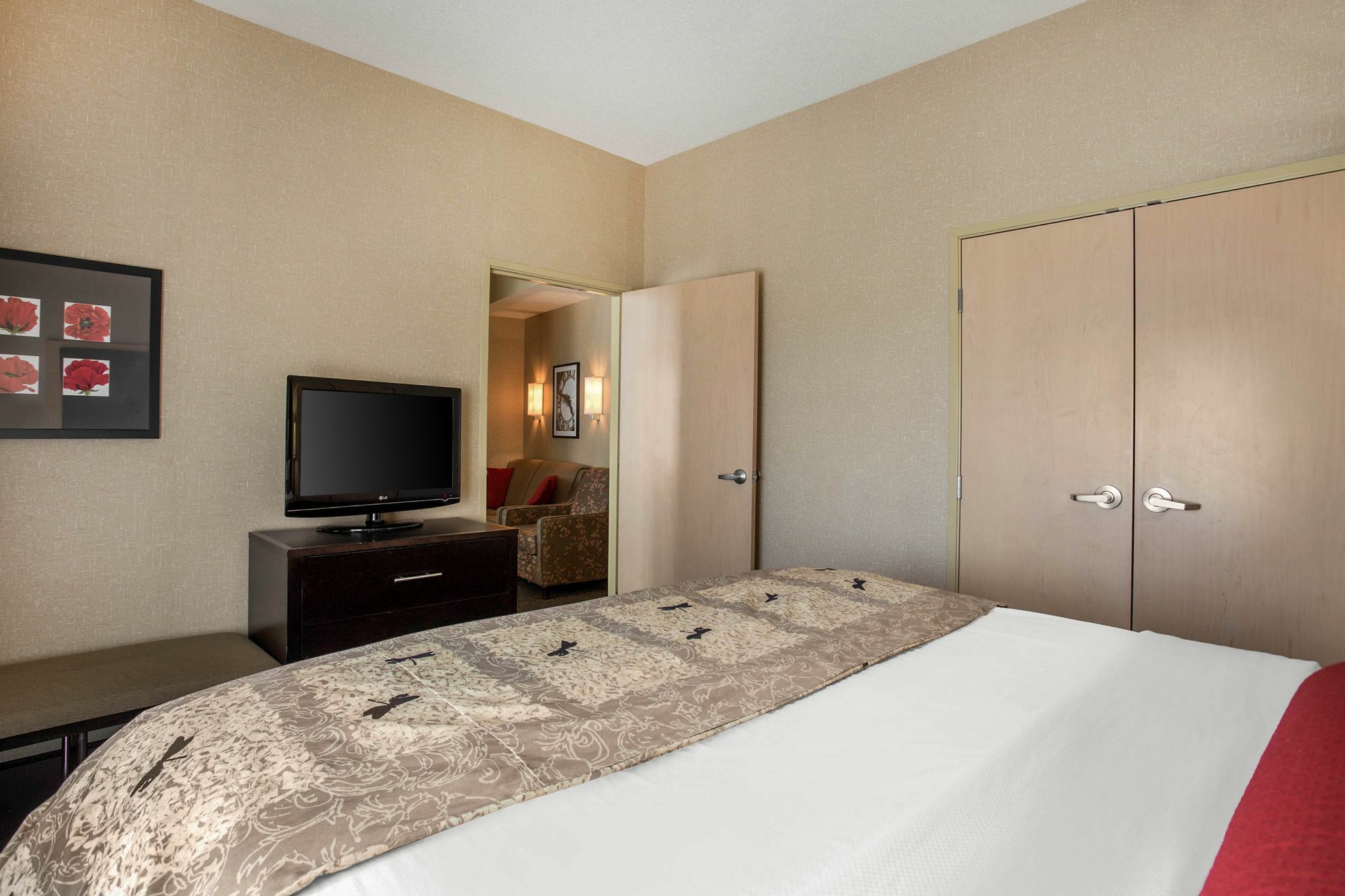Springhill Suites By Marriott Roanoke Dış mekan fotoğraf