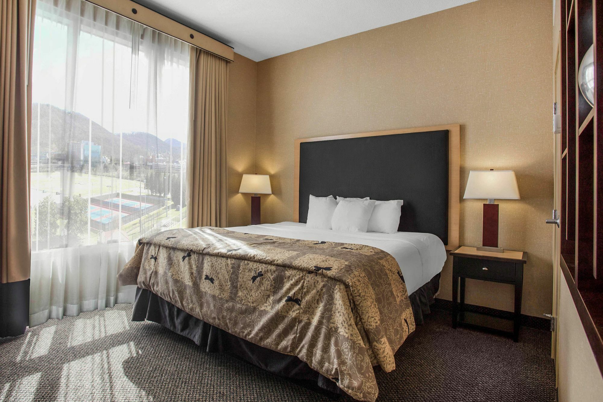 Springhill Suites By Marriott Roanoke Dış mekan fotoğraf