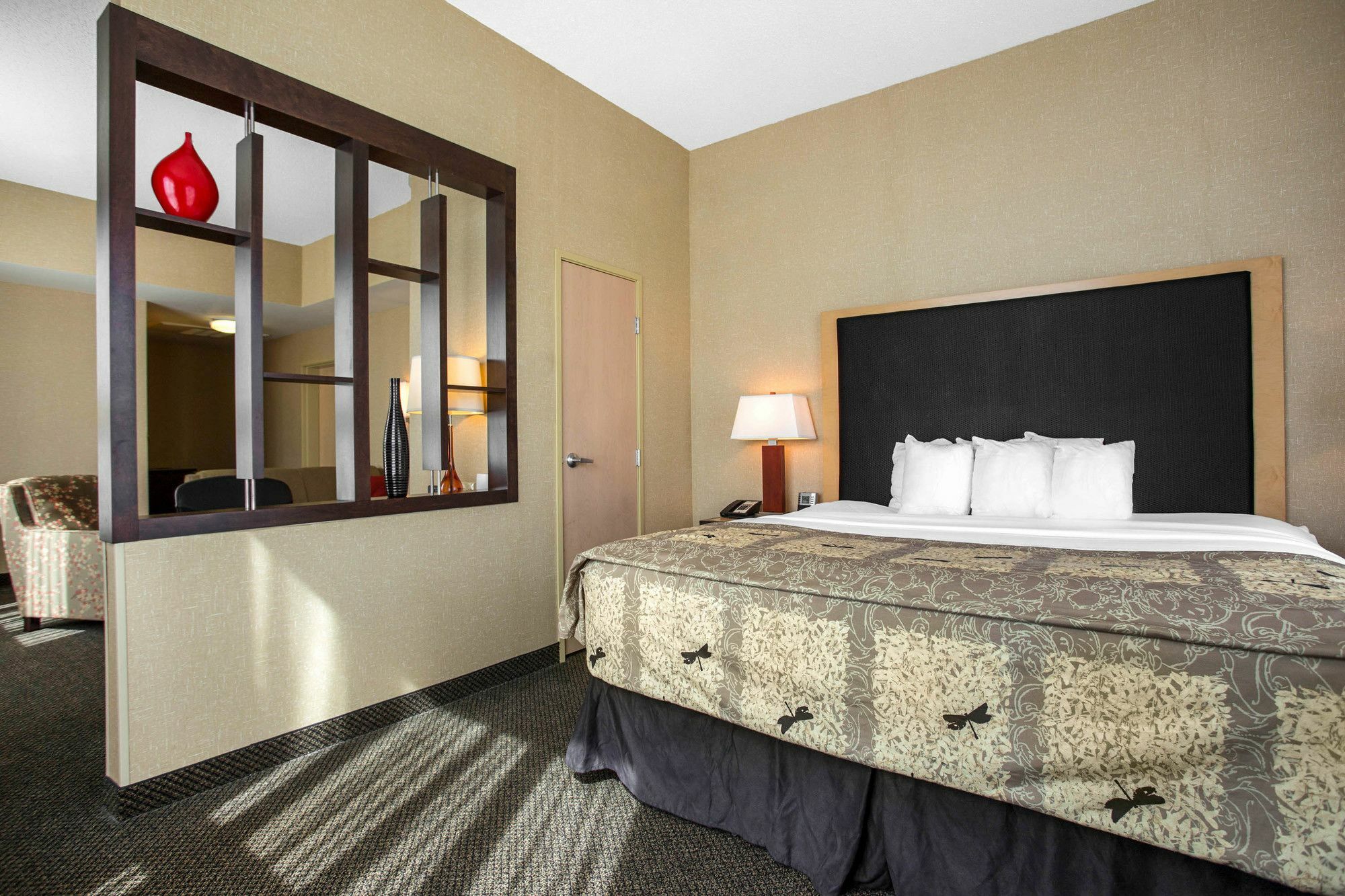 Springhill Suites By Marriott Roanoke Dış mekan fotoğraf