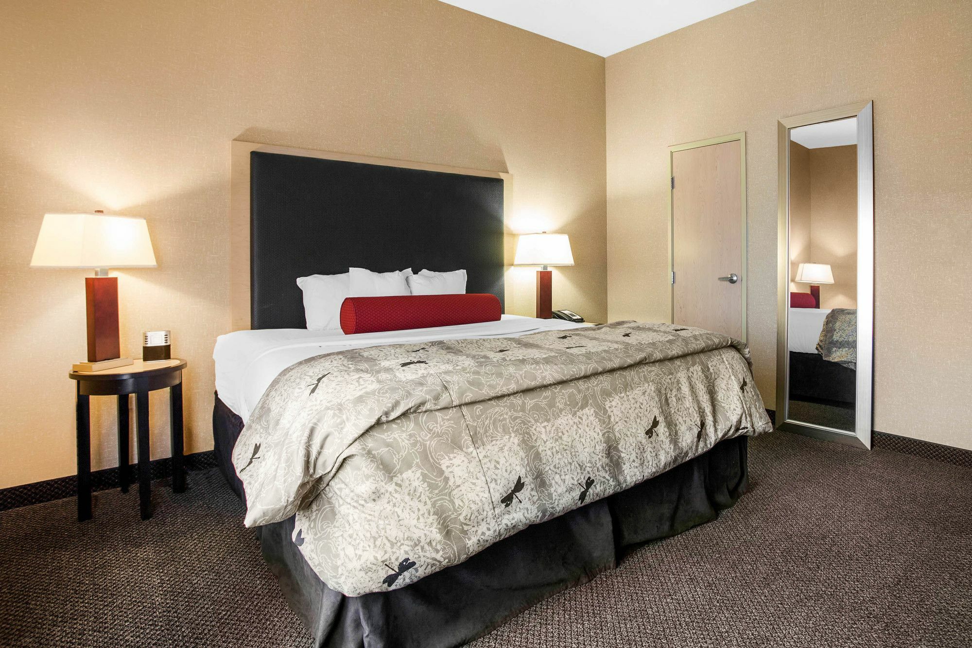 Springhill Suites By Marriott Roanoke Dış mekan fotoğraf